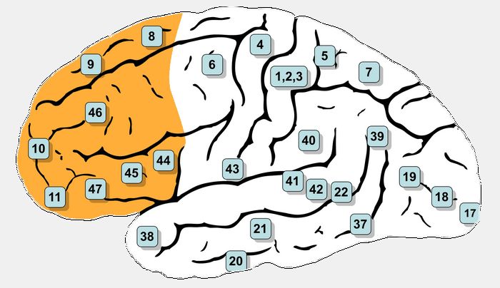 10 Уникальных повреждений мозга