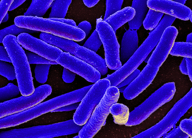 Антибиотики ускоряют рост бактерий