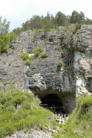 Древние люди из денисовской пещеры