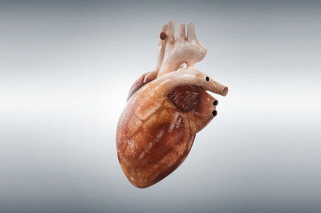 Генетический кардиостимулятор работает от света
