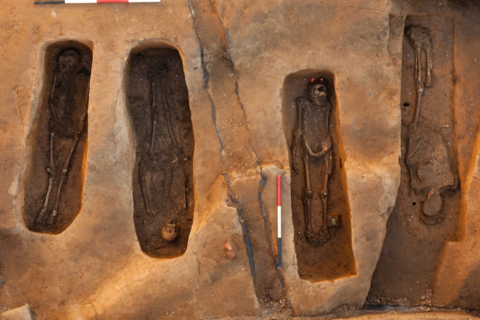Главные находки и открытия археологов в 2015 году