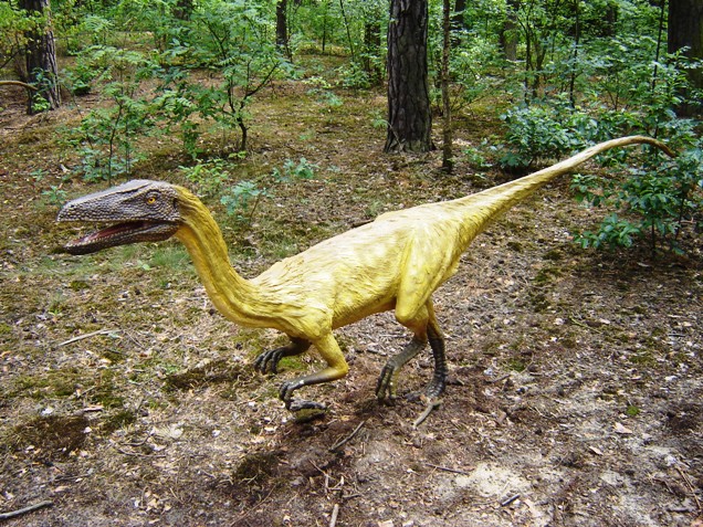Найден 4,5-метровый хвост динозавра, которому 72 миллиона лет