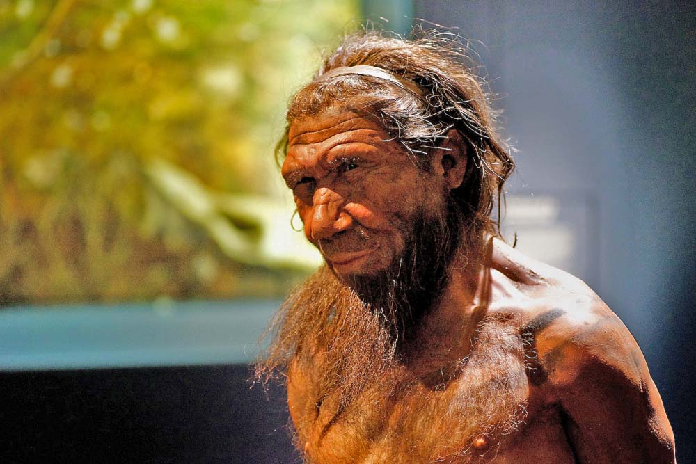 Неандертальцы вымерли из-за «африканских» болезней?