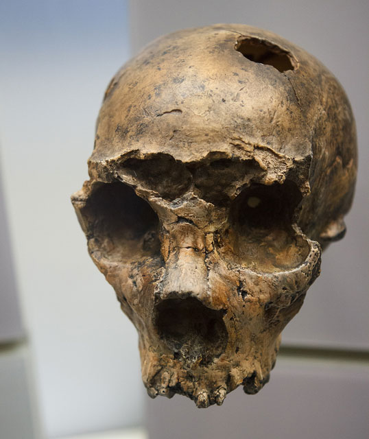 Первый итальянский неандерталец «постарел» на 100 тысяч лет