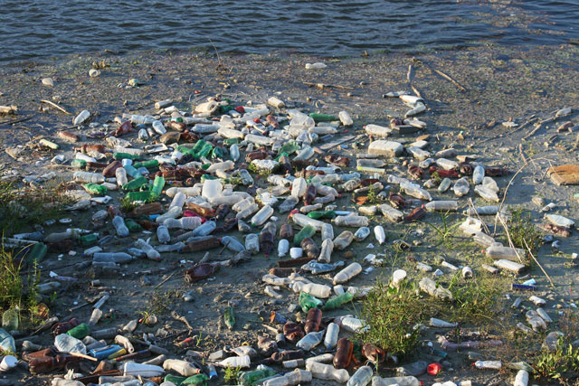 Пластика в океане может стать больше, чем рыбы
