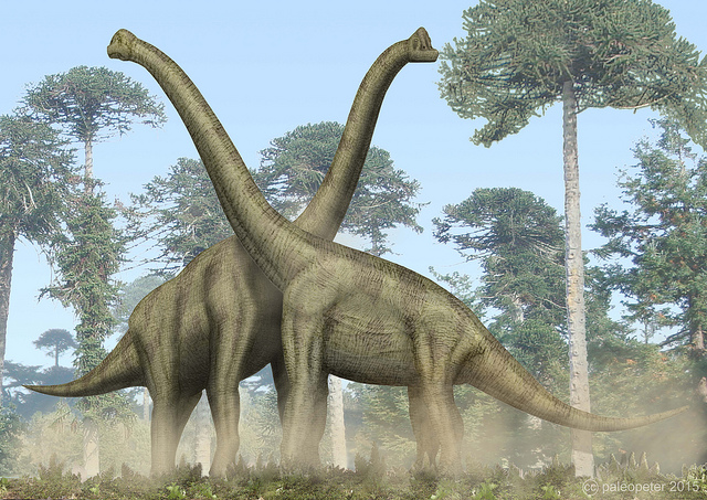 Почему у гигантских динозавров не ломался позвоночник