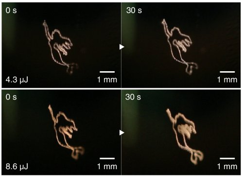Произведенные лазером пузырьки превращают емкость с жидкостью в трехмерный дисплей