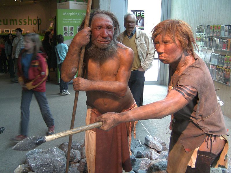 «Российские» неандертальцы вымерли позже «западных»